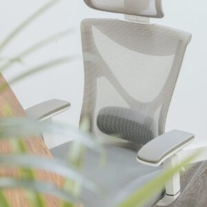 Ergonomic Office Desk Chair